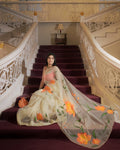 Organza saree