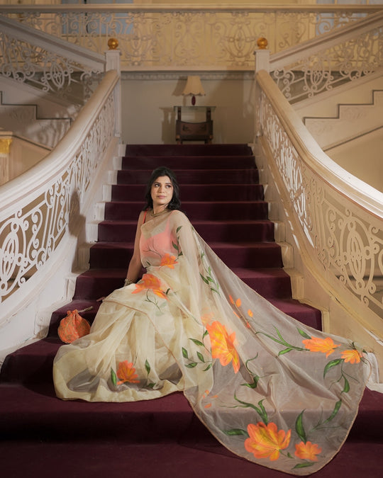 Organza saree