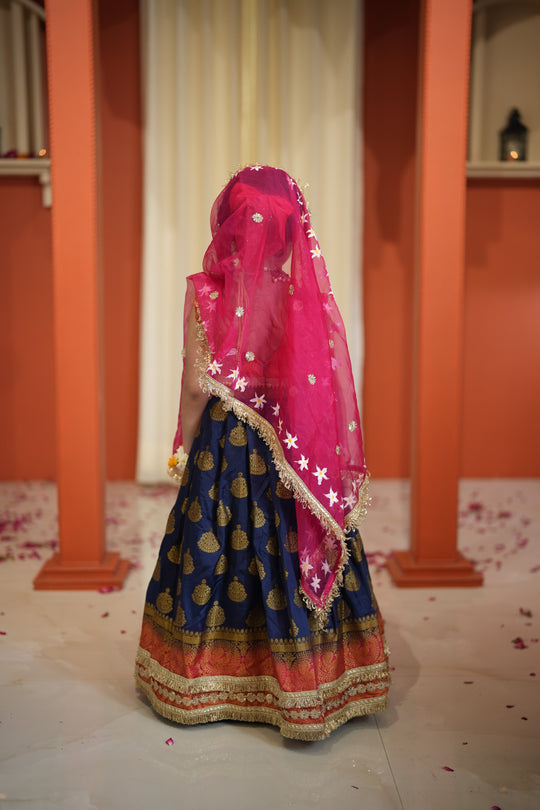 Neelambri