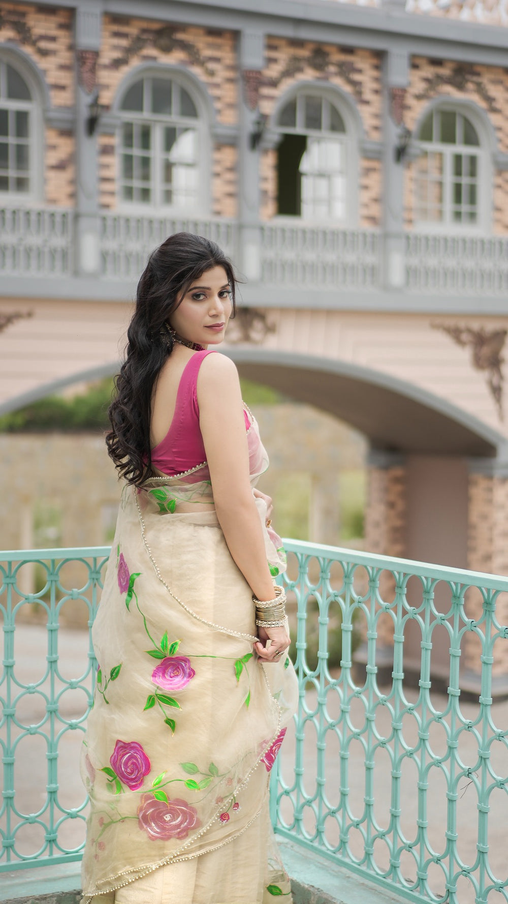 Organza saree