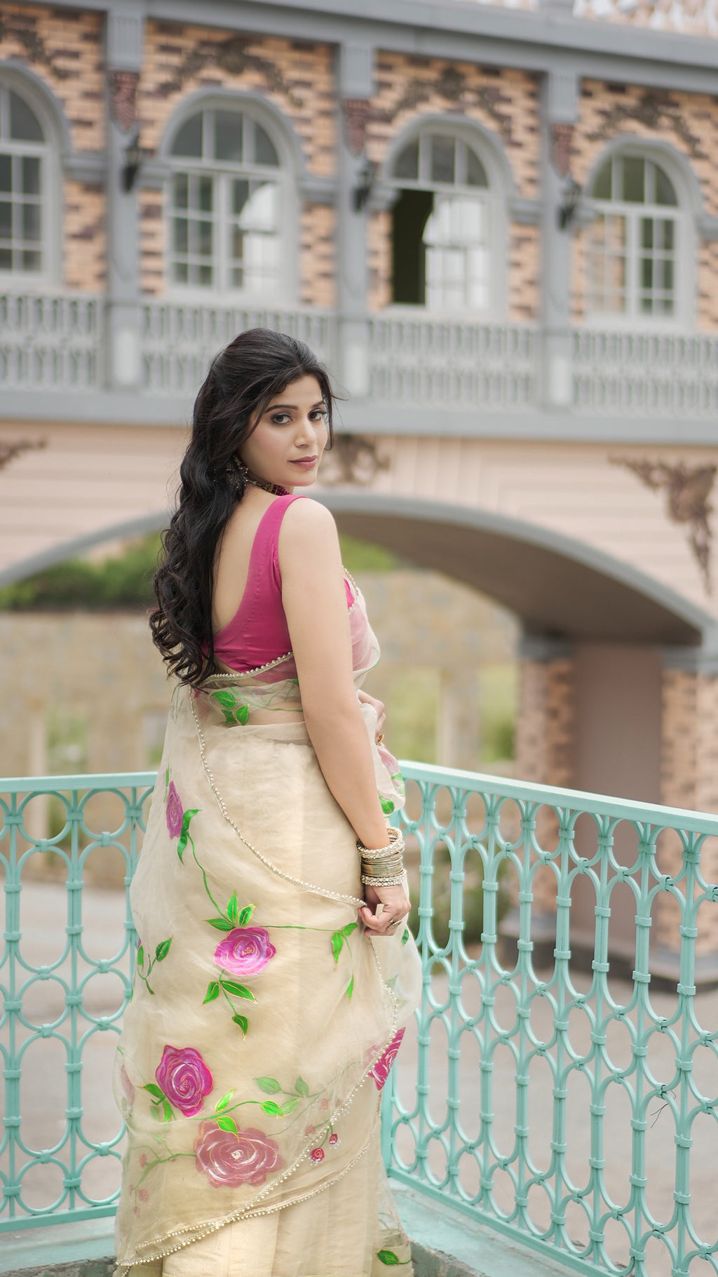 Organza saree