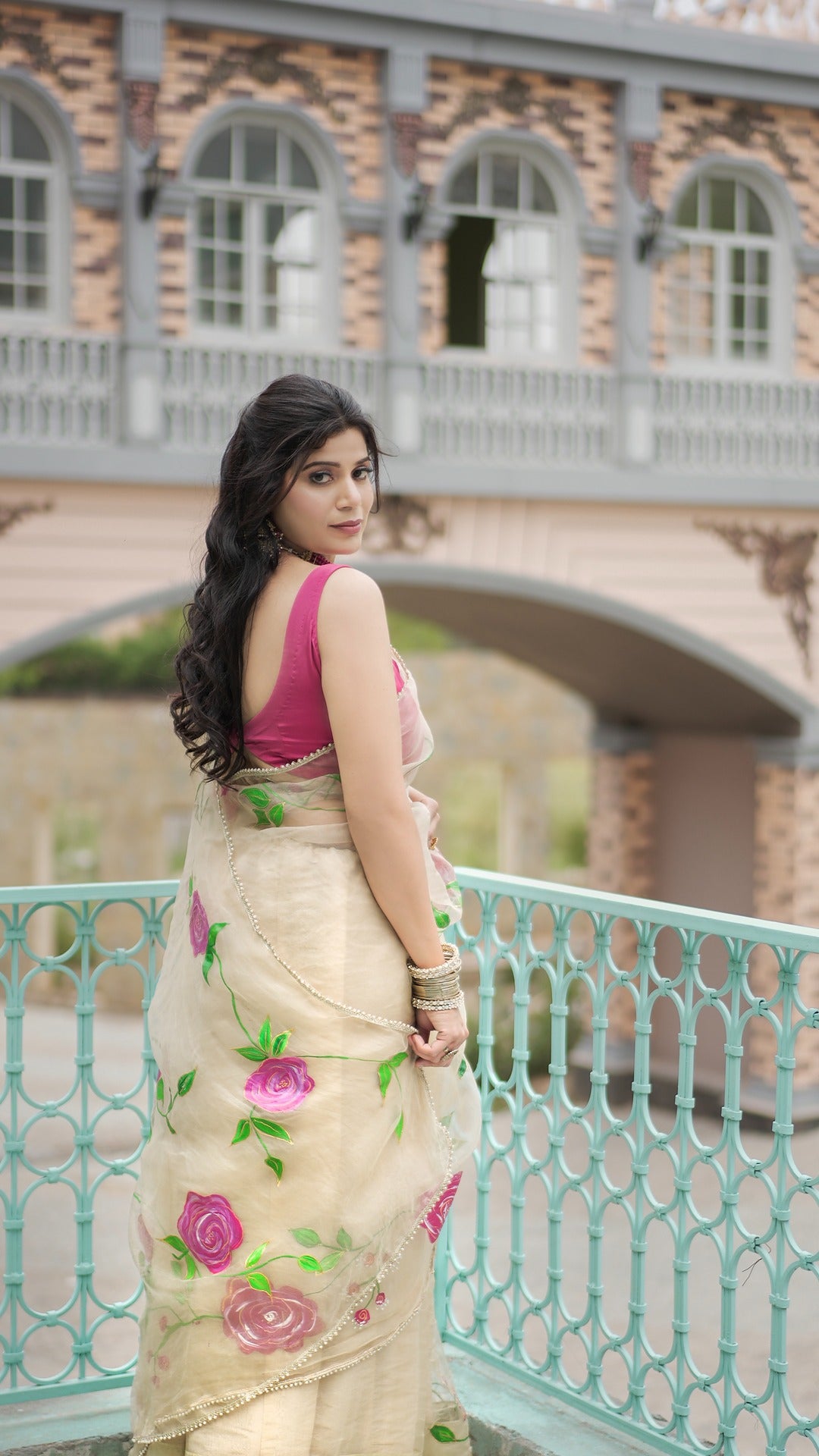 Organza saree
