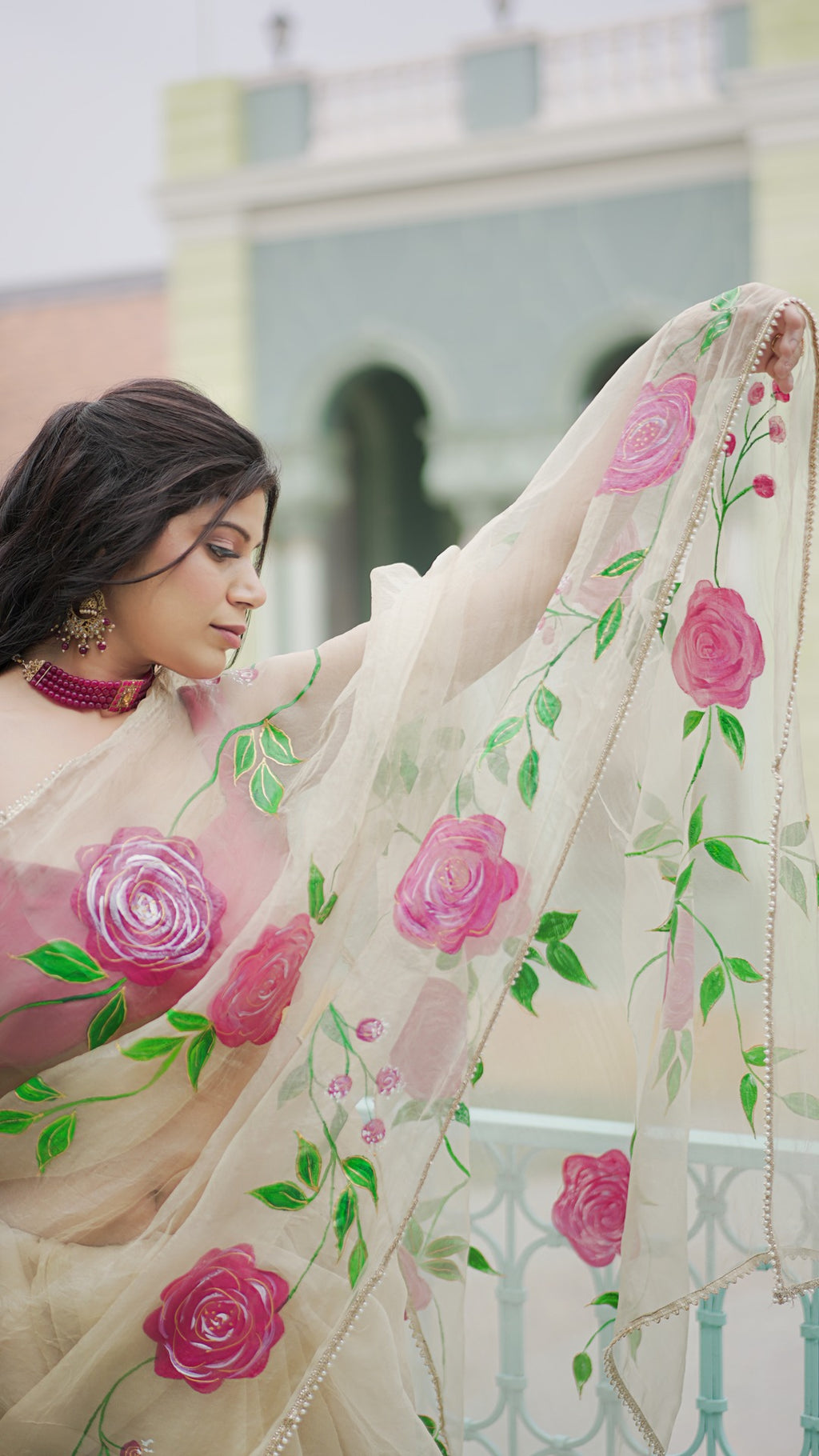 Organza saree