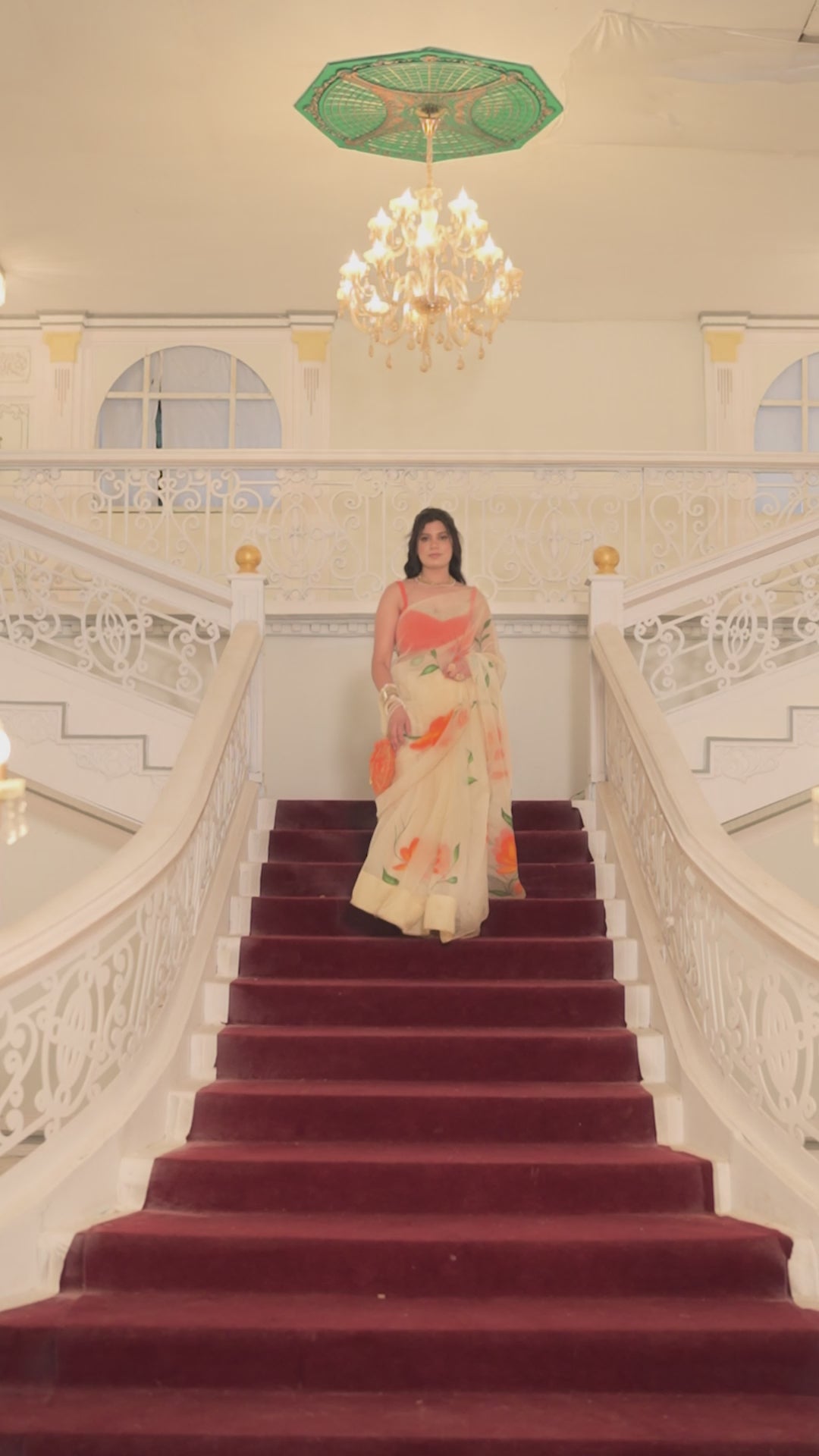 Organza saree