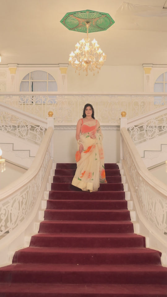 Organza saree